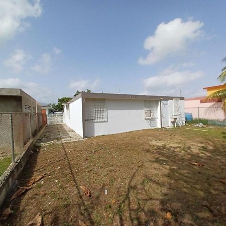 Family House Rain Forest And Beaches Pet Friendly Rio Grande Buitenkant foto