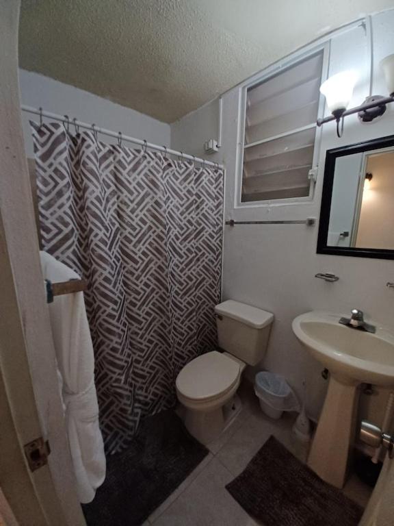 Family House Rain Forest And Beaches Pet Friendly Rio Grande Buitenkant foto