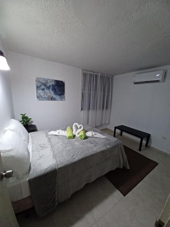 Family House Rain Forest And Beaches Pet Friendly Rio Grande Buitenkant foto