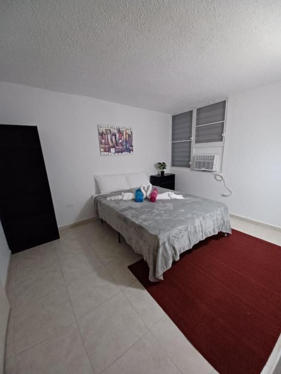 Family House Rain Forest And Beaches Pet Friendly Rio Grande Buitenkant foto