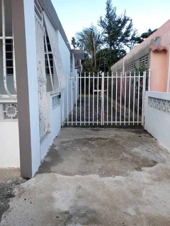 Family House Rain Forest And Beaches Pet Friendly Rio Grande Buitenkant foto